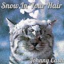 Snow in Your Hair