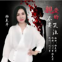 杨美华 - 亲爱的不要哭泣(原版立体声伴奏)