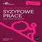 Stefan Zeromski: Syzyfowe prace专辑