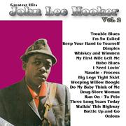 Greatest Hits: John Lee Hooker Vol. 2