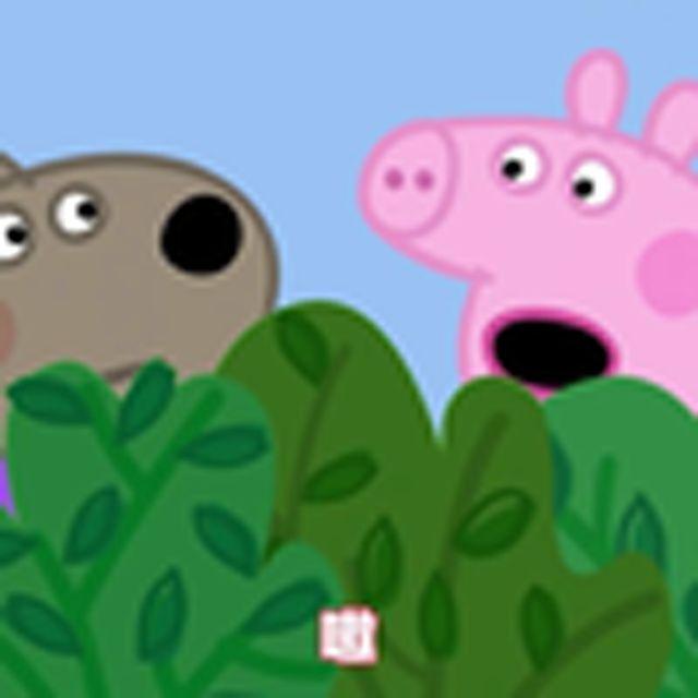 发生什么事了(小猪佩奇)