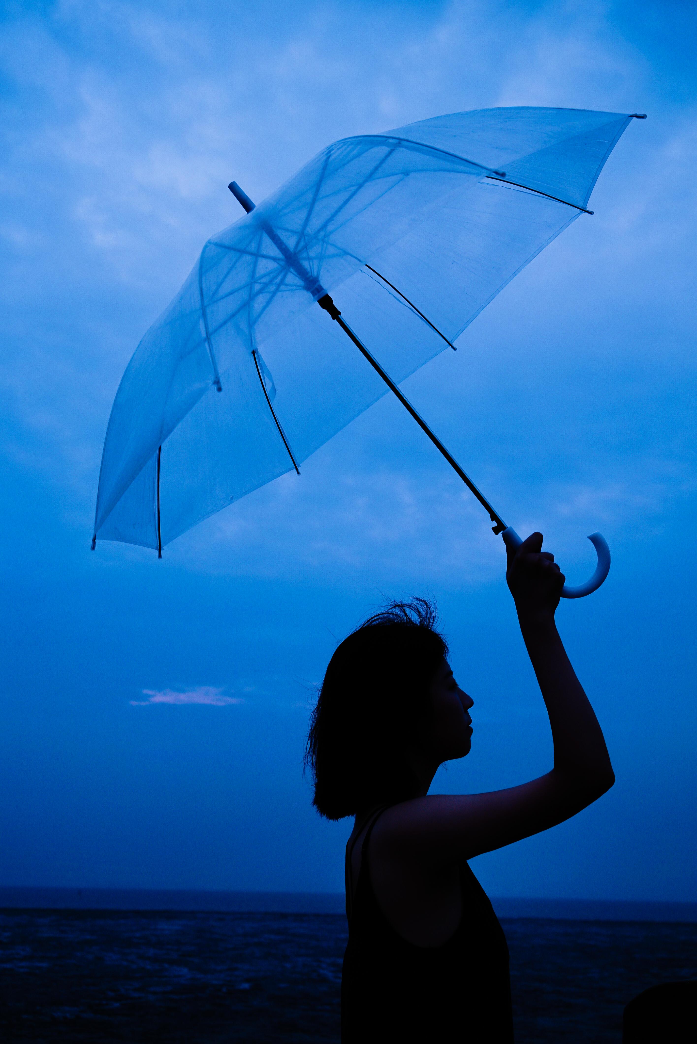 Shape of My Heart（from Leon）