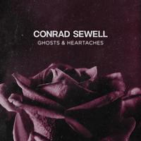 Healing Hands - Conrad Sewell (unofficial Instrumental) 无和声伴奏