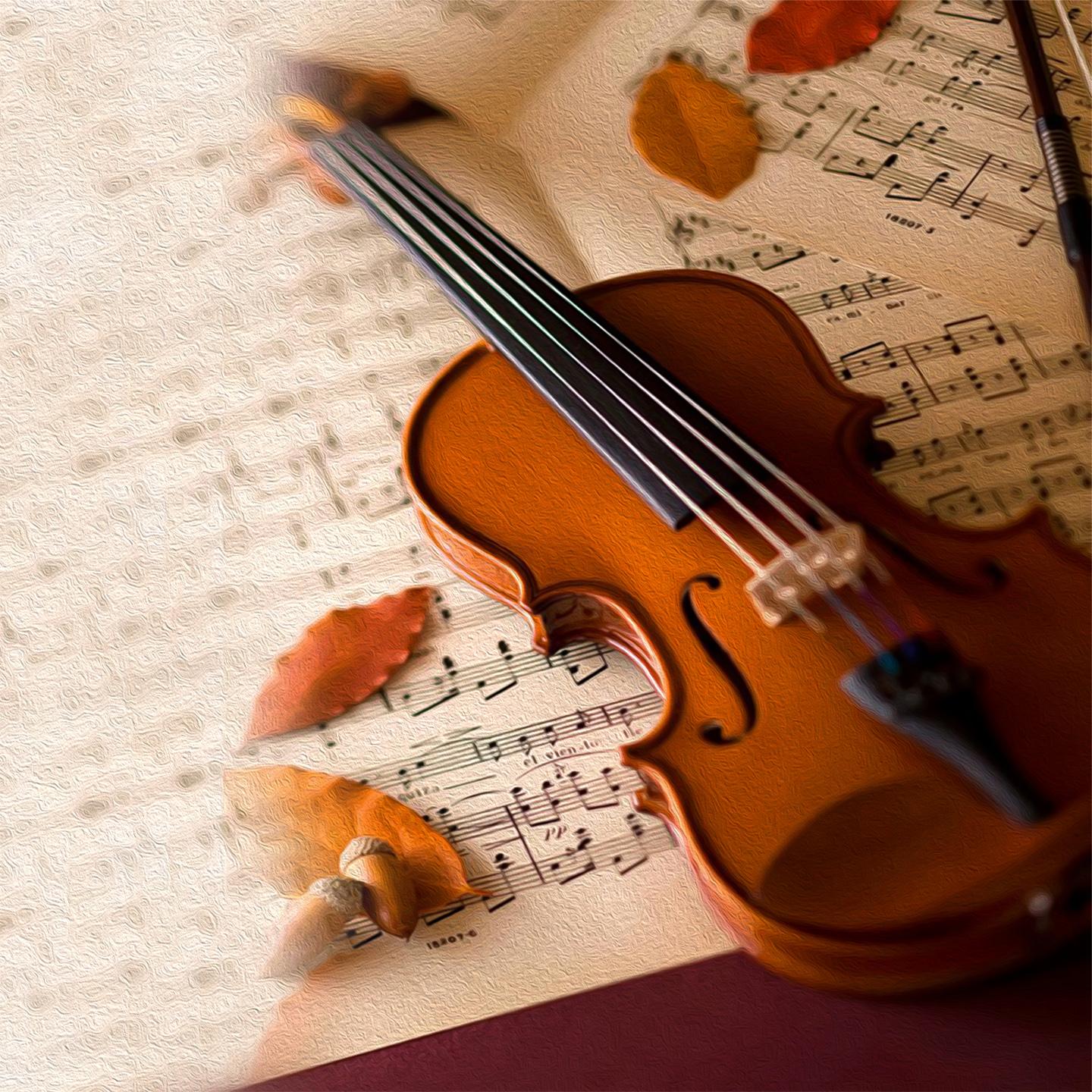 夏日最后的玫瑰 (小提琴流行轻音乐)