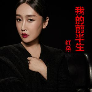 红孩儿 - 半生酒(伴奏).mp3 （降1半音）