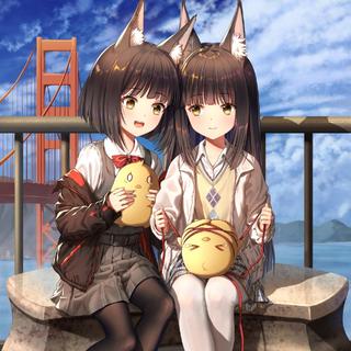 纯音乐｜本人学习歌单（46）