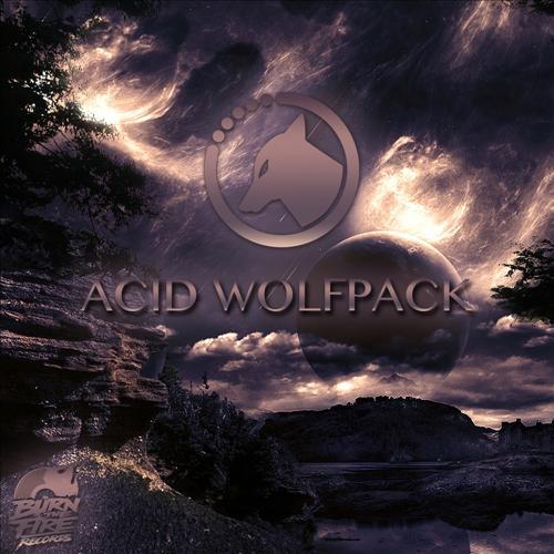 Acid Wolfpack专辑