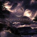 Acid Wolfpack专辑