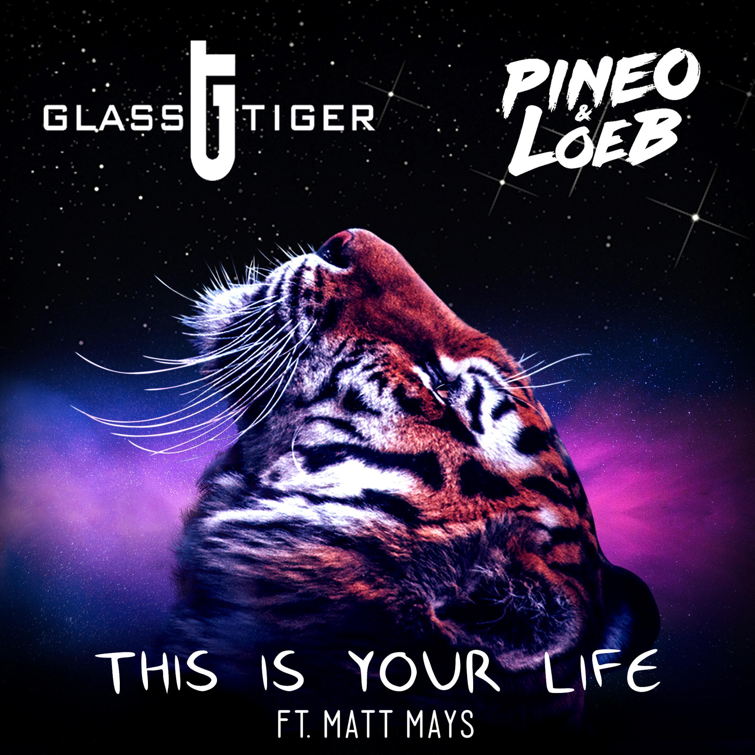 This Is Your Life (feat. Matt Mays)