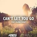 Can't Let You Go