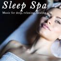 Sleep Spa: Music for Deep, Relaxing, Healing Rest专辑