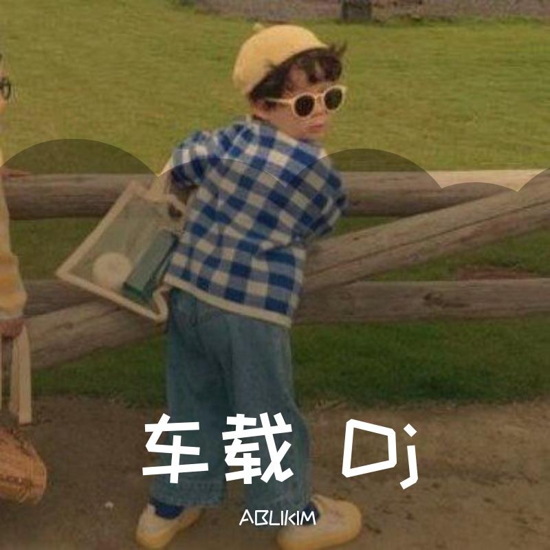 车载 Dj