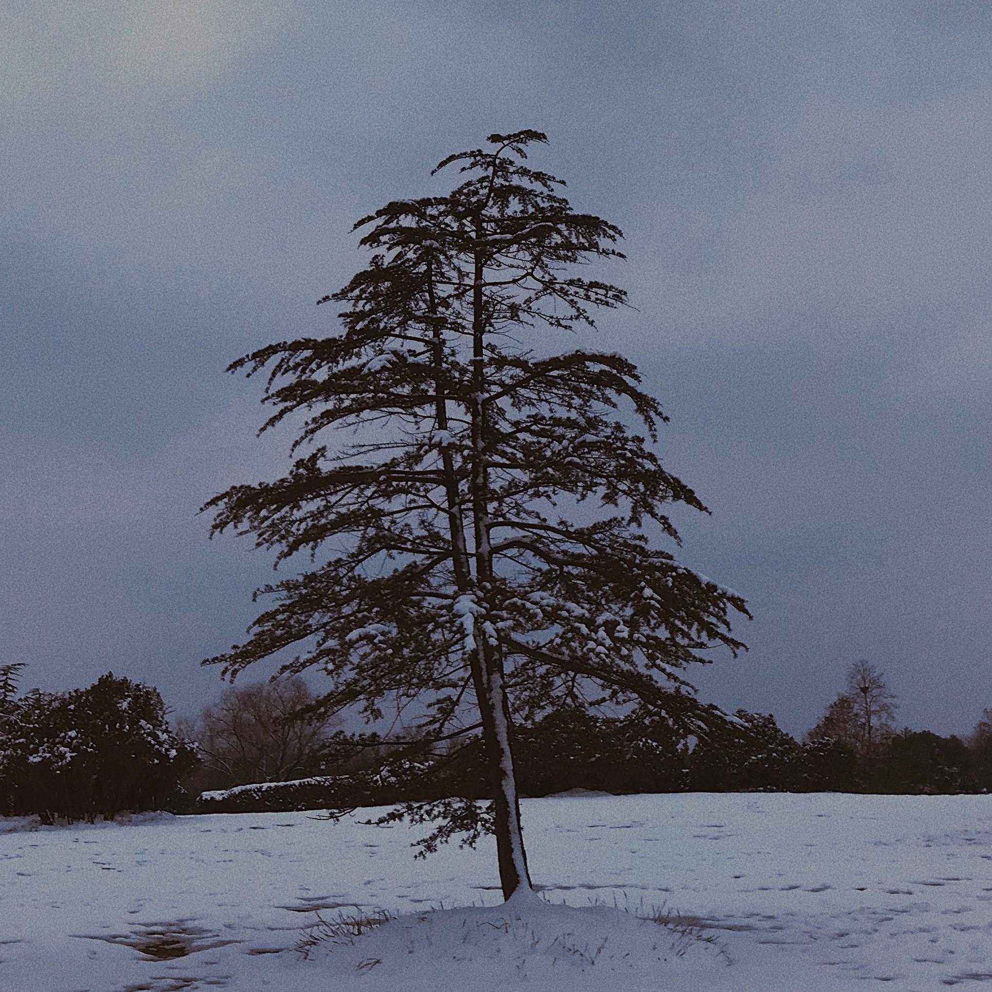 Love Maze(Chinese Ver.)(翻自 补天石)