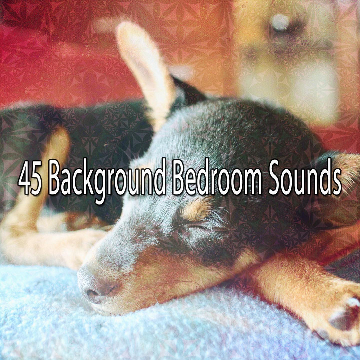 45 Background Bedroom Sounds专辑