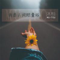 我是人间限量版 (周小双 原版 伴奏)