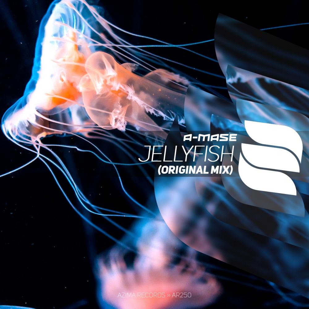 Jellyfish