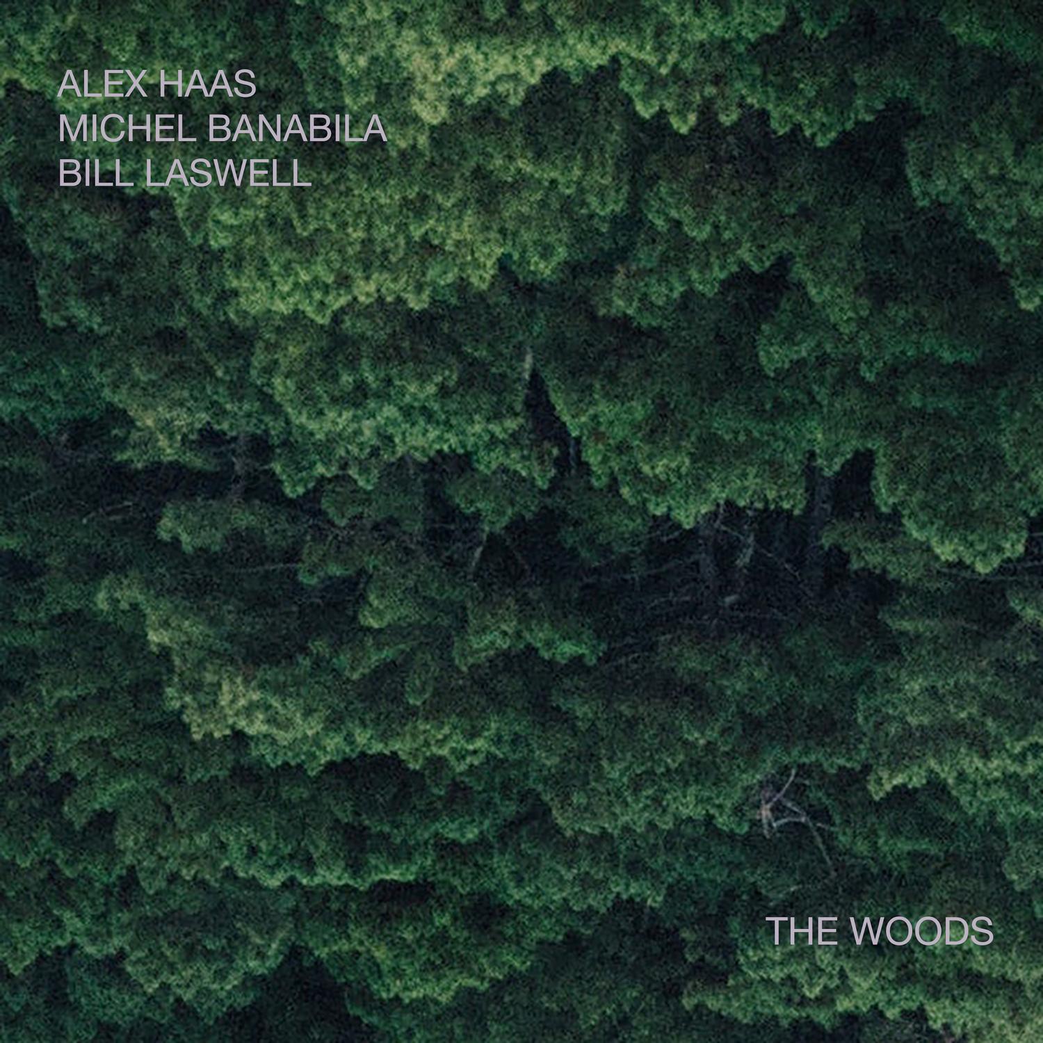 The Woods
