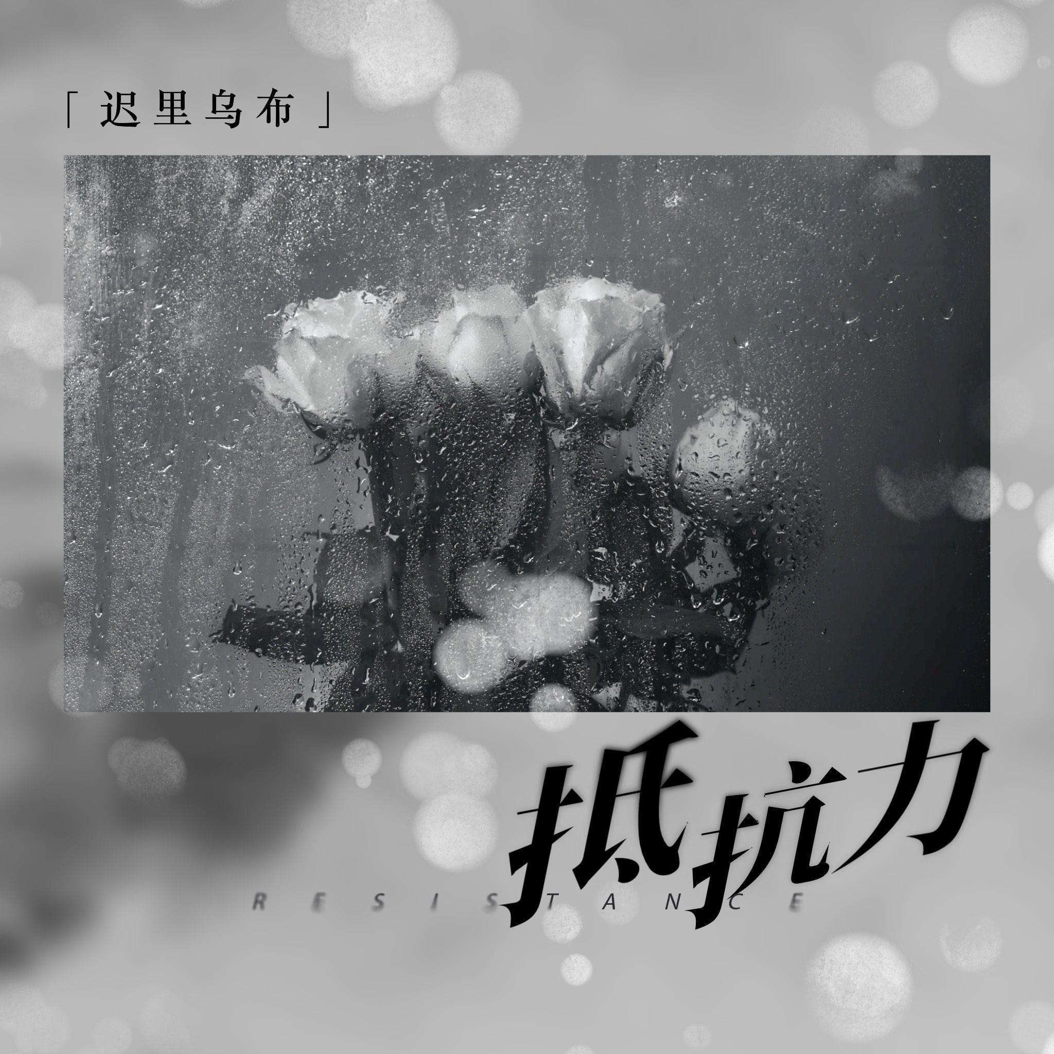抵抗力