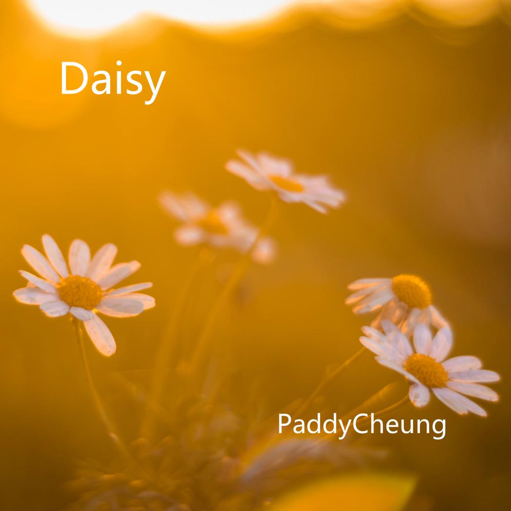 Daisy（雏菊）专辑