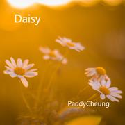 Daisy（雏菊）