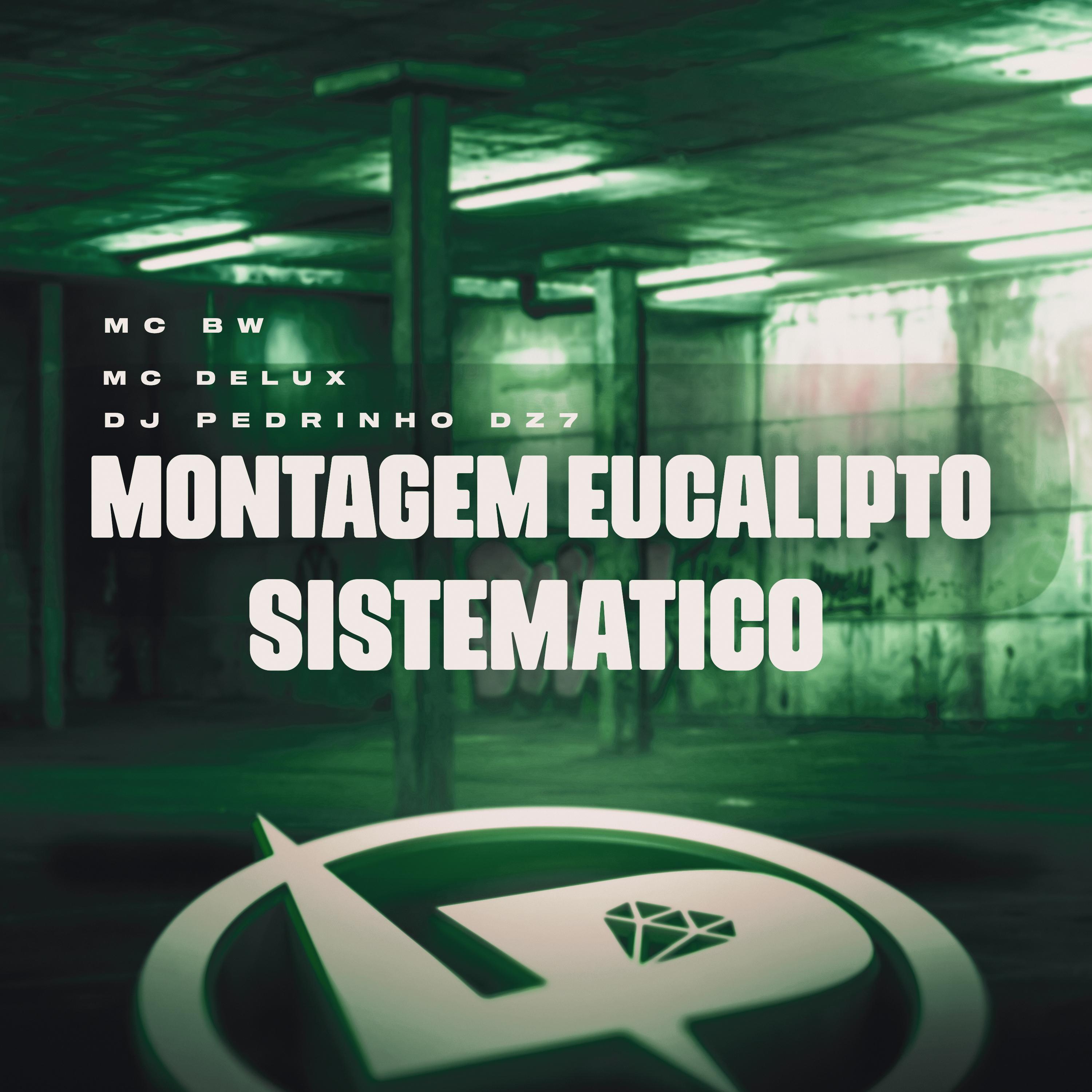 Montagem Eucalipto Sistematico