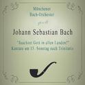 Münchener Bach-Orchester spielt: Johann Sebastian Bach: "Jauchzet Gott in allen Landen!" Kantate am 专辑