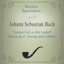 Münchener Bach-Orchester spielt: Johann Sebastian Bach: "Jauchzet Gott in allen Landen!" Kantate am 专辑