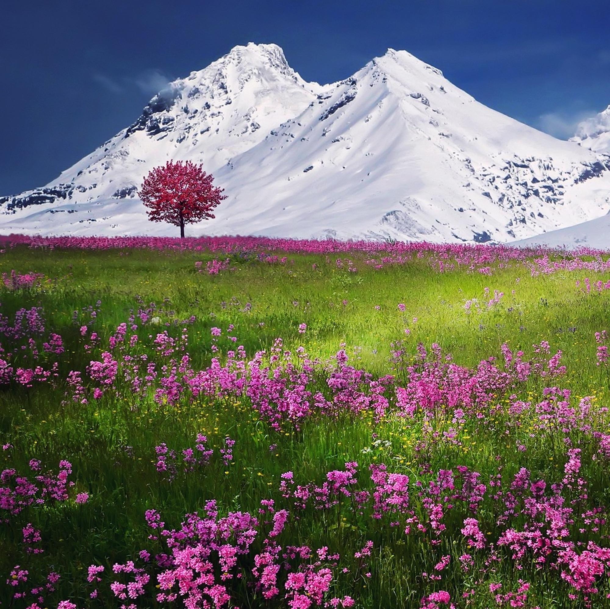 60 Songs for Complete Relaxation - Morning Meditation and Anxiety Relief