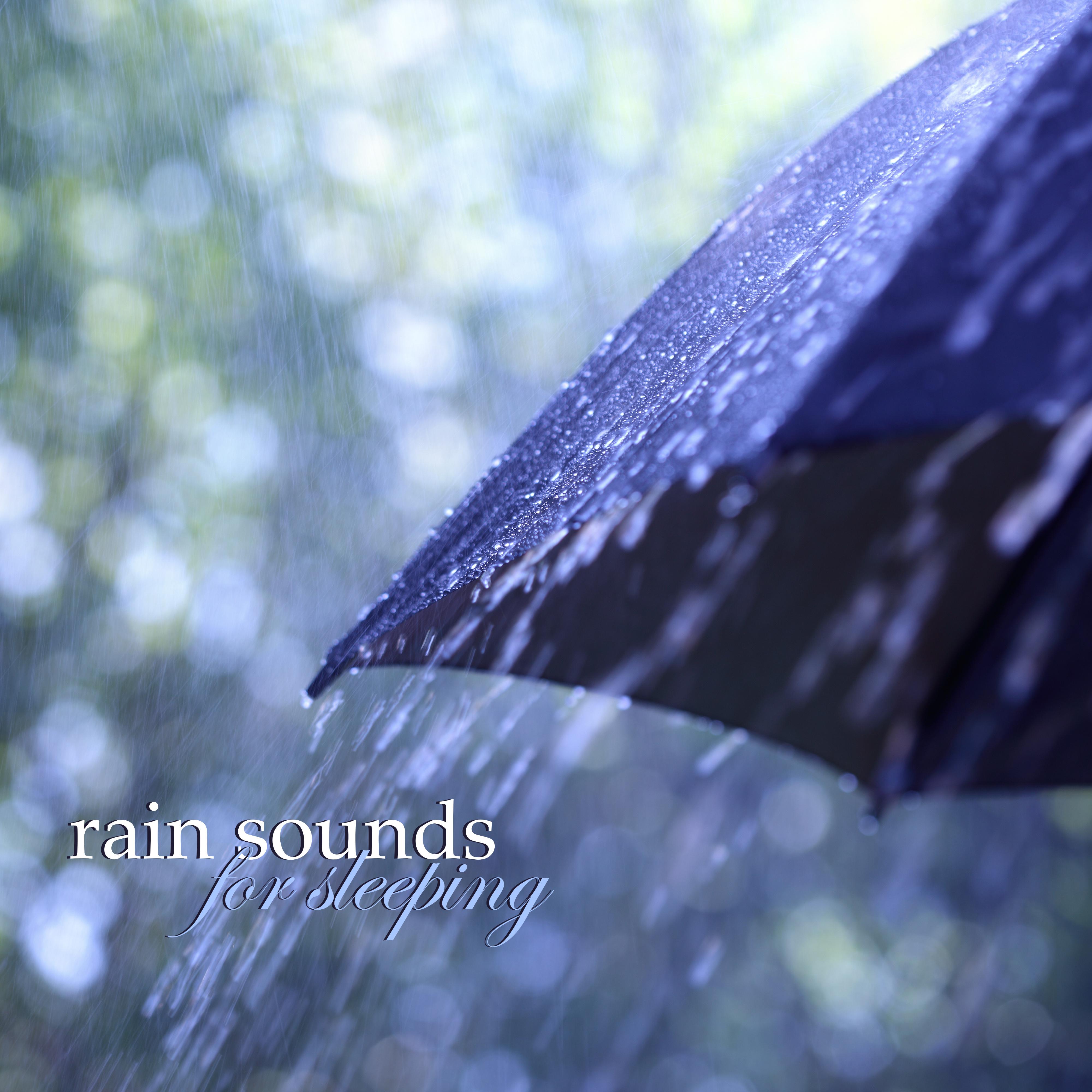 Rain Sounds for Sleeping - Rain Drops Sound Effects, Thunderstom Sounds and Relaxing Meditation Musi专辑