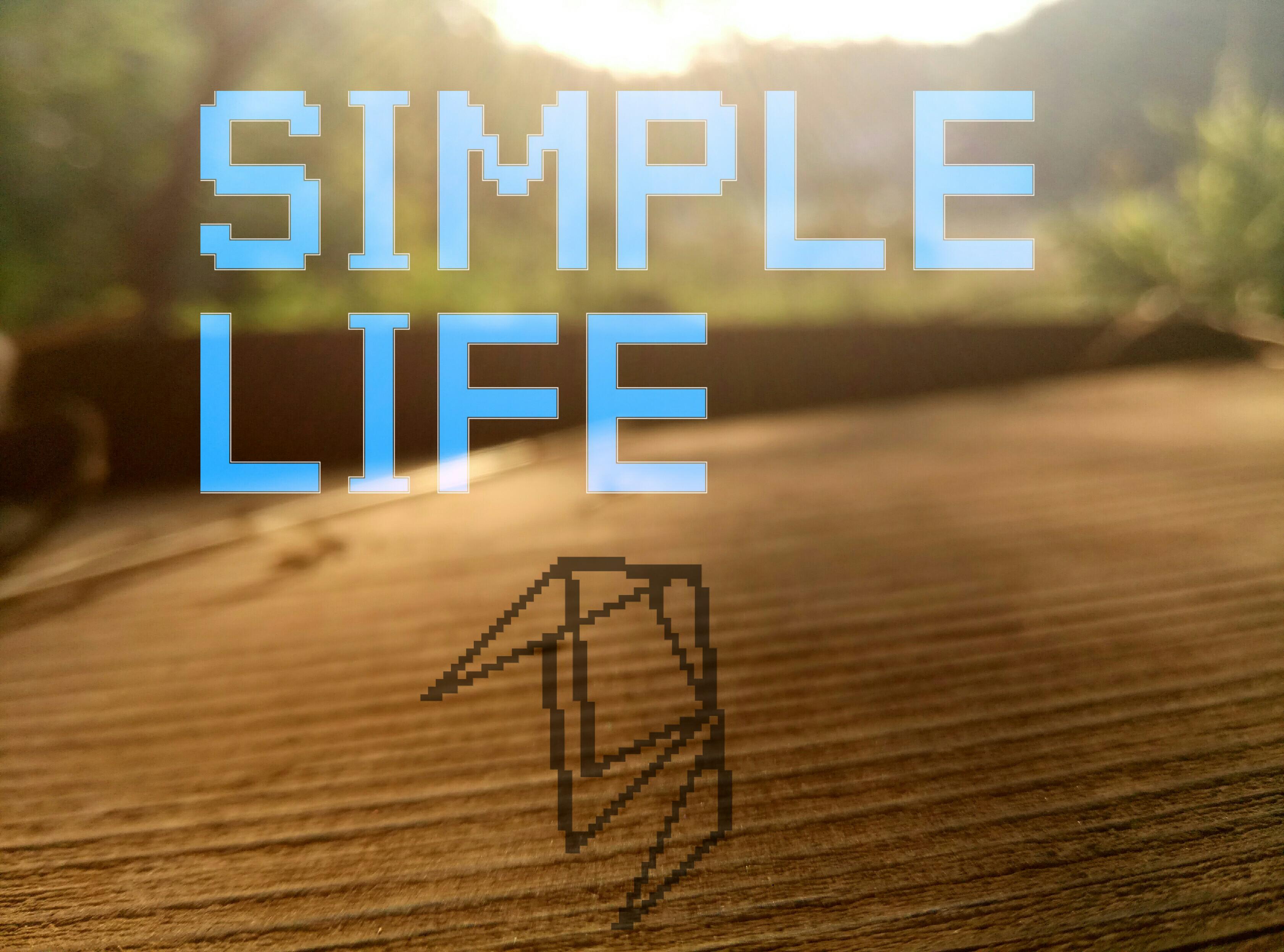 Simple Life专辑