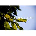 Intro-Nature