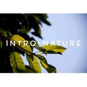 Intro-Nature专辑