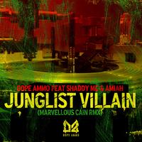 Junglist Villain / Soundboy