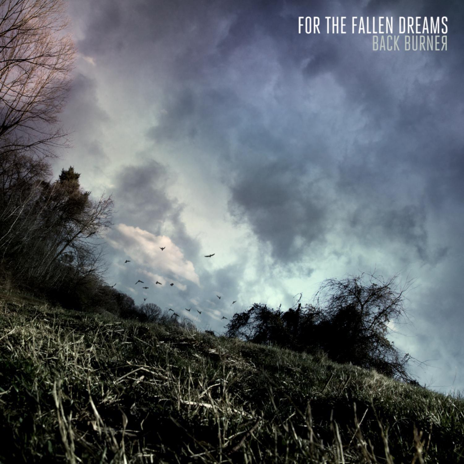 For the Fallen Dreams - Complicate The Situation