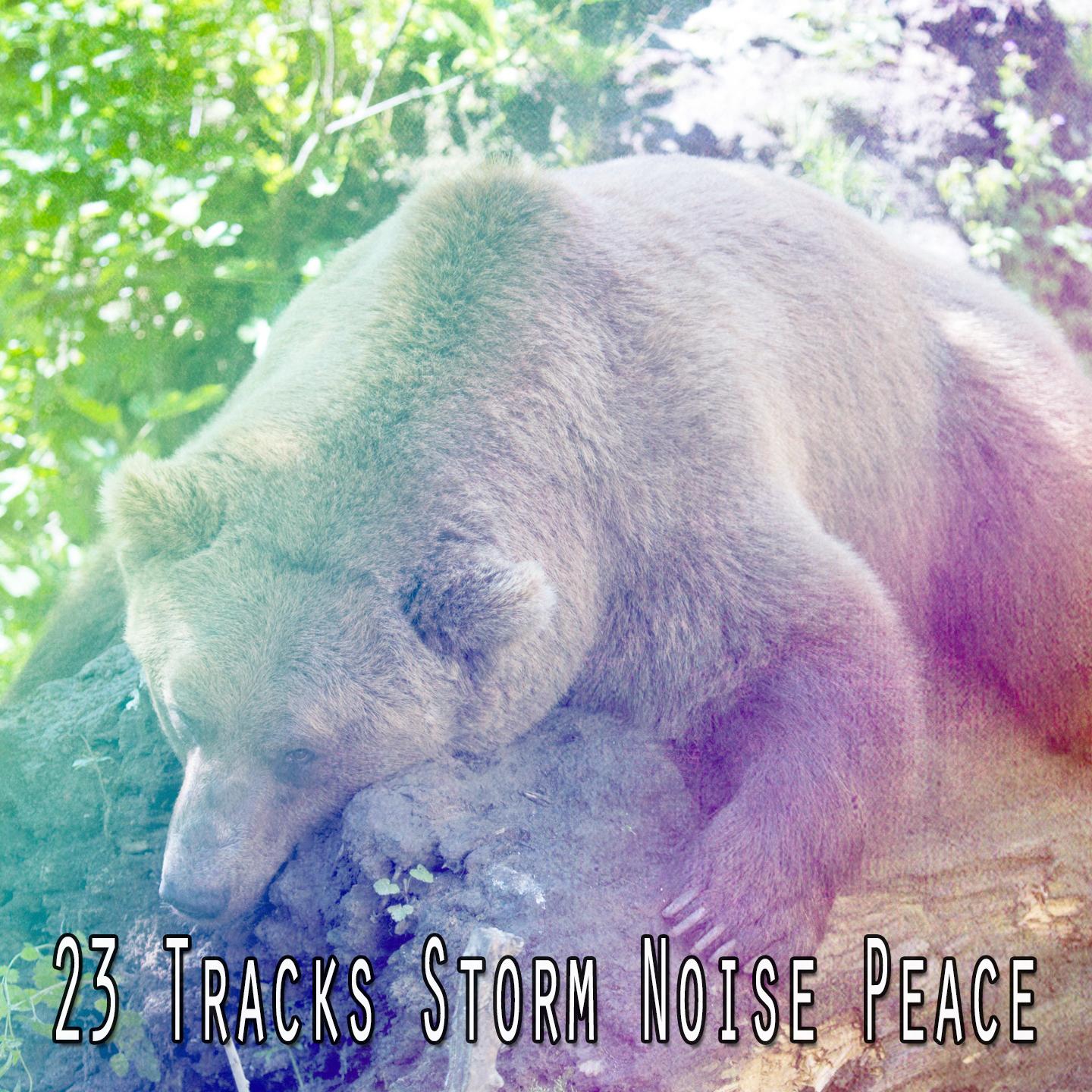 23 Tracks Storm Noise Peace专辑