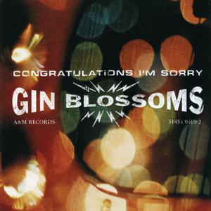 Day Job - Gin Blossoms (SC karaoke) 带和声伴奏 （升8半音）