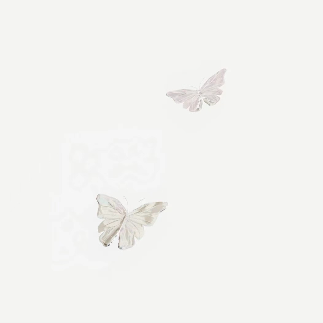 看昙花多美