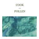 Pollen专辑