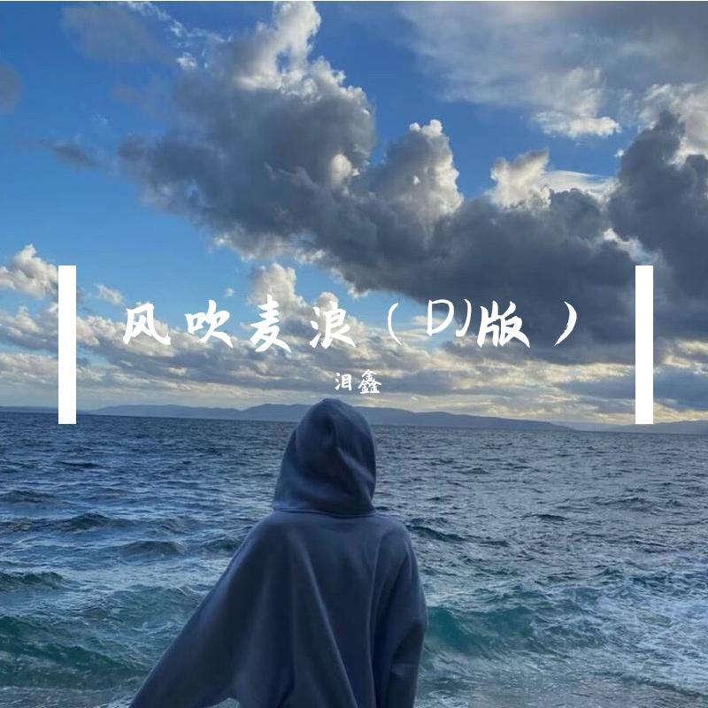 风吹麦浪（DJ版）
