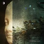 专辑《无尽美丽的事物》