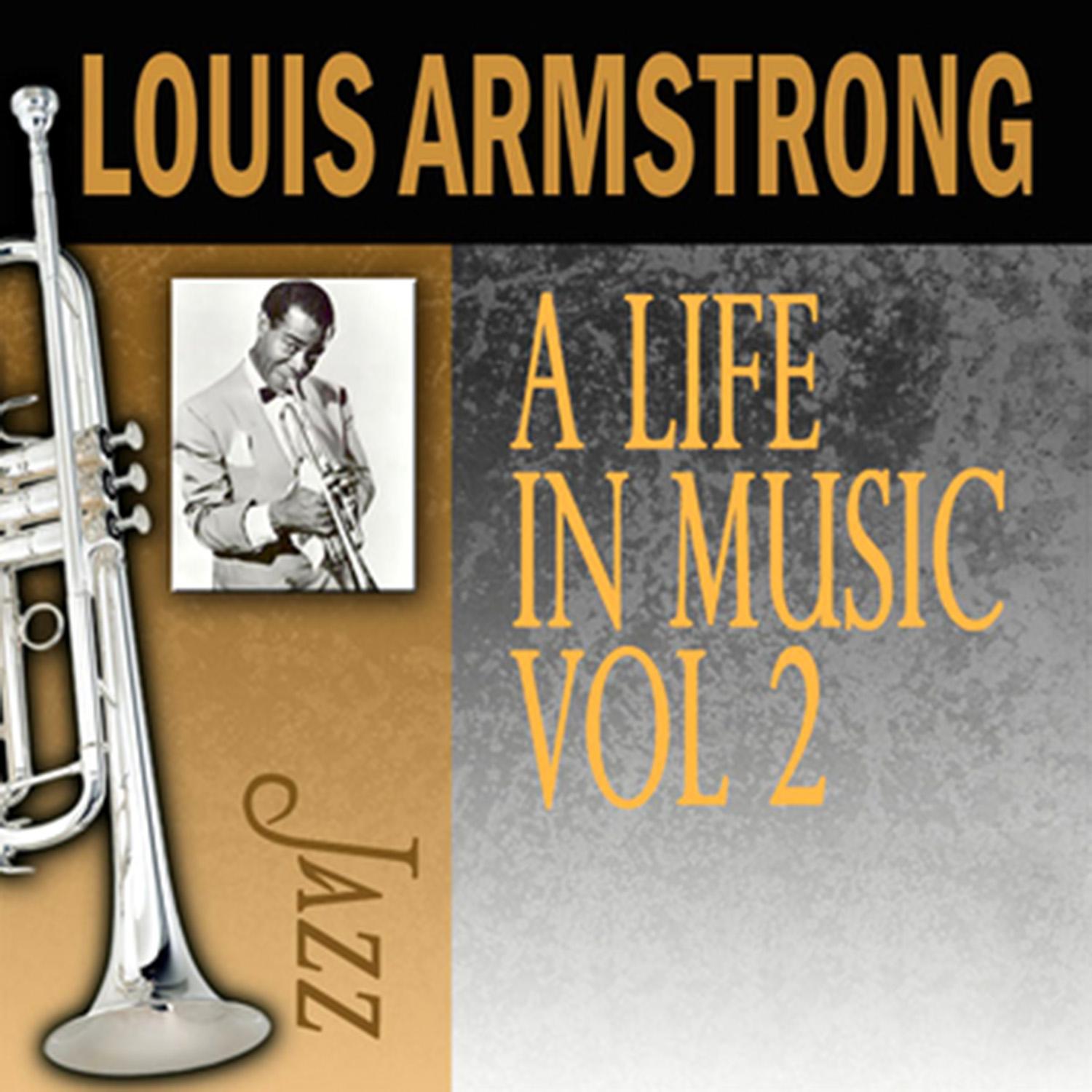 A Life in Music, Vol. 2