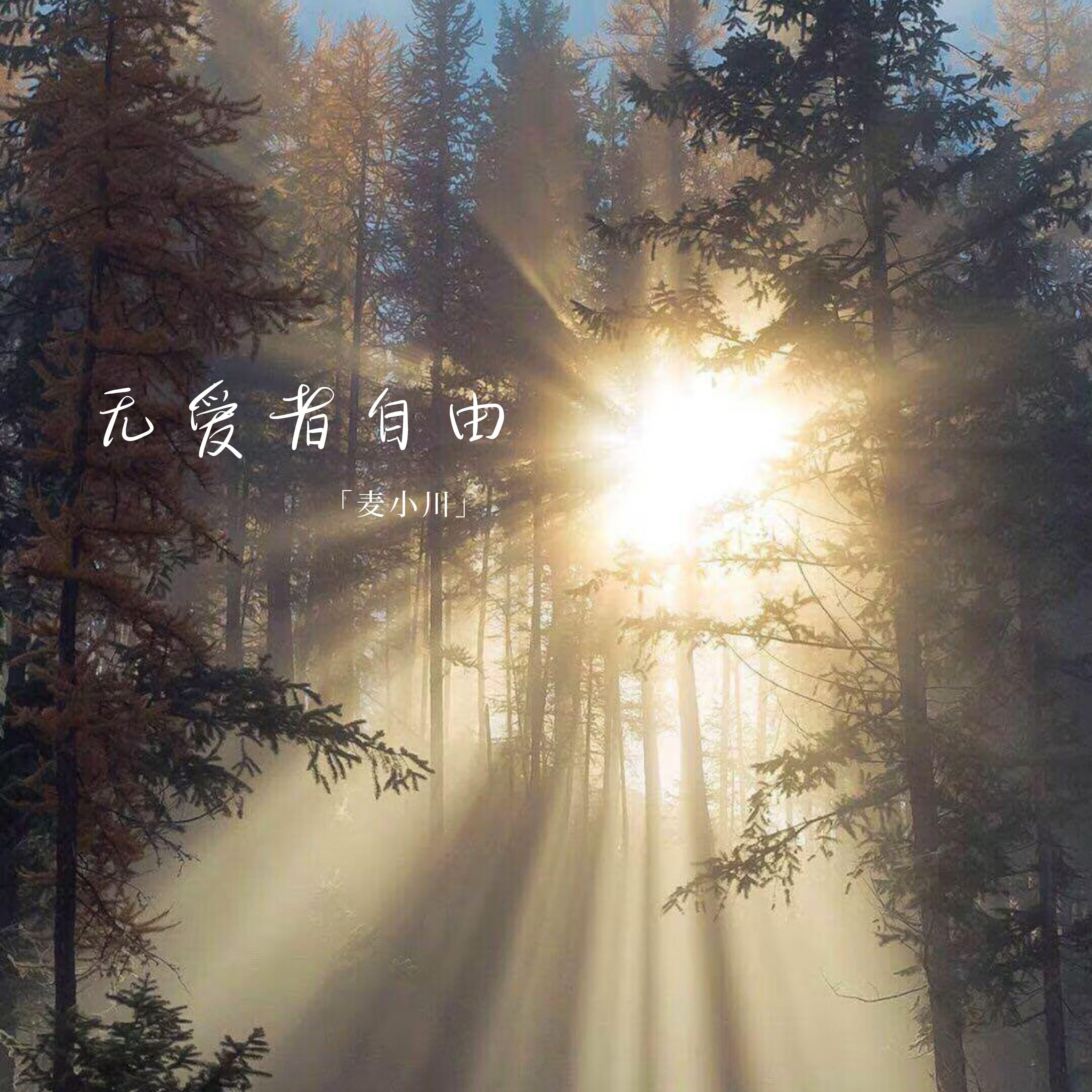 无爱者自由