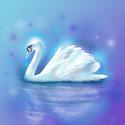 SWAN