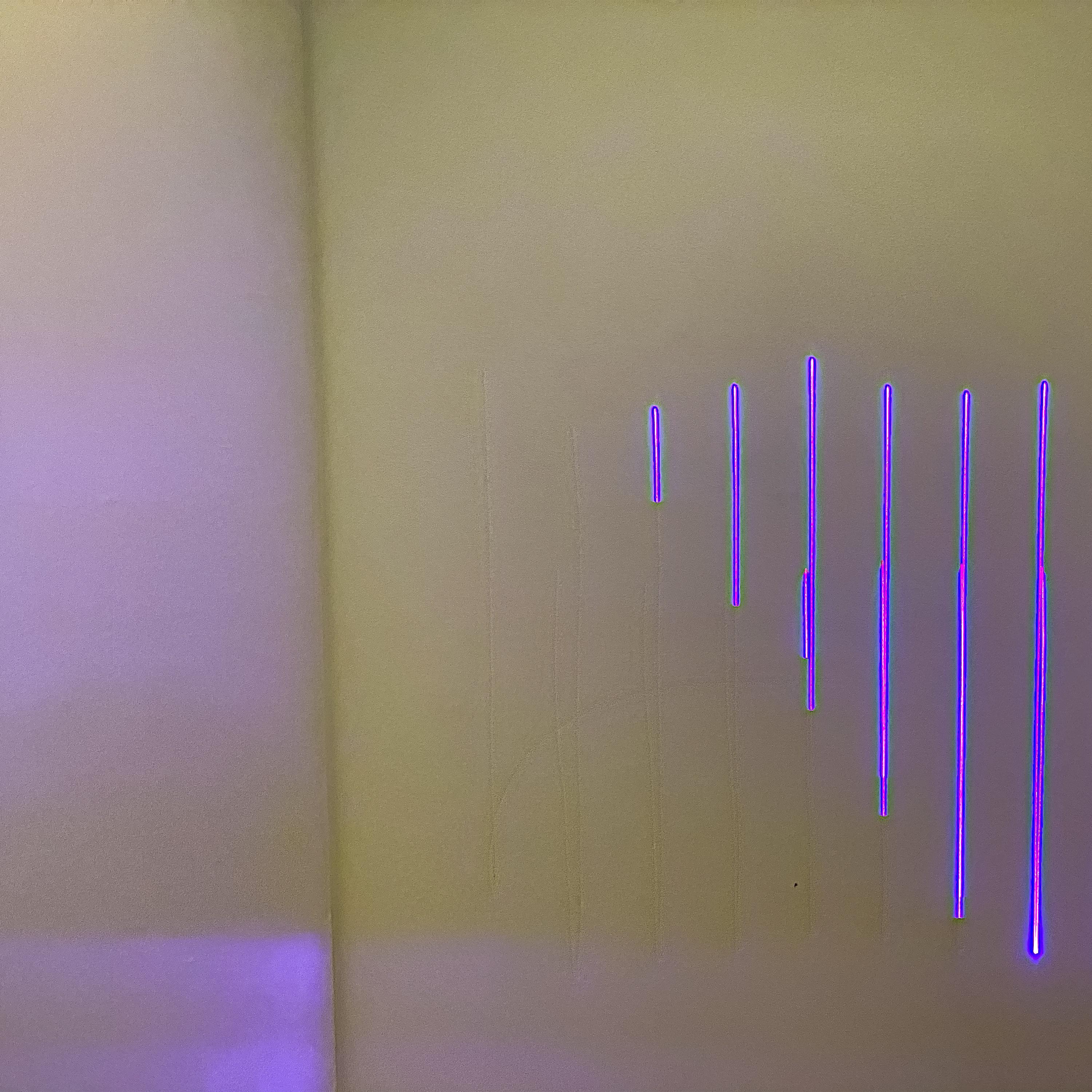 L_06