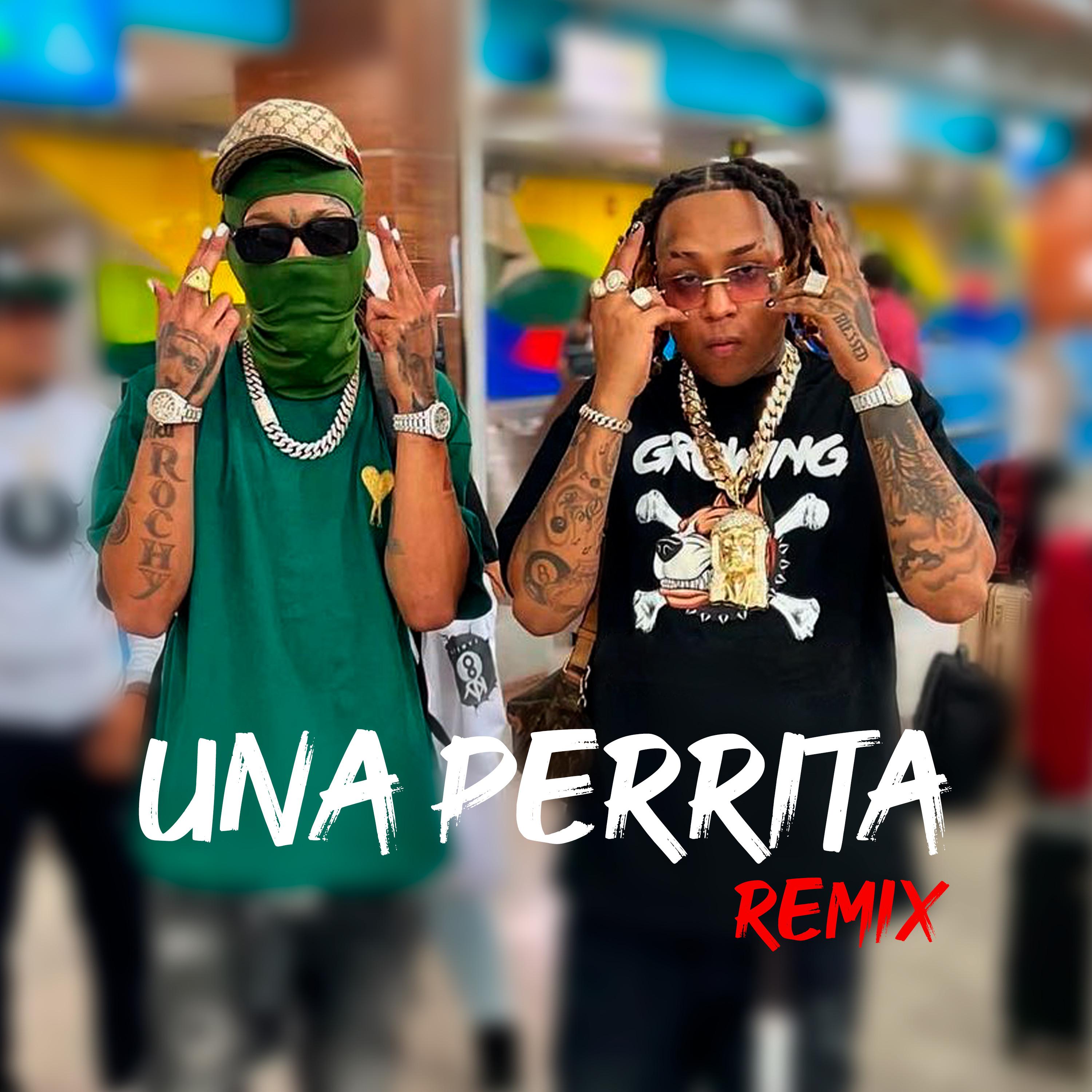 Rochy RD - Una Perrita (Remix)