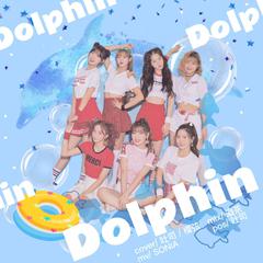 Dolphin哒哒