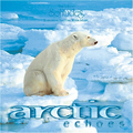 Exploring Nature with Music: Arctic Echoes