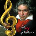 The Joy of Beethoven专辑