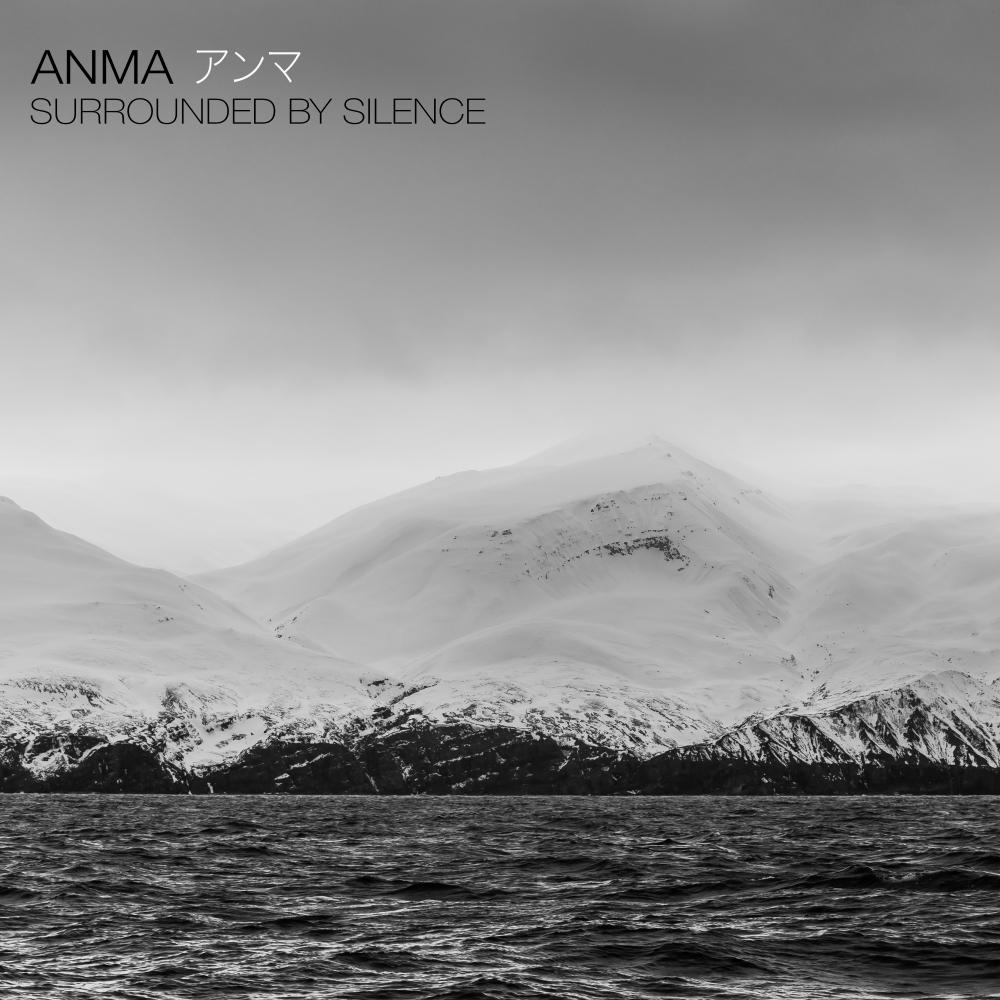 Surrounded By Silence