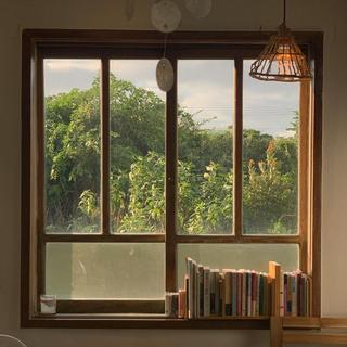 INFJ漫时光：窗间绿意 独处漫读 松弛自愈 